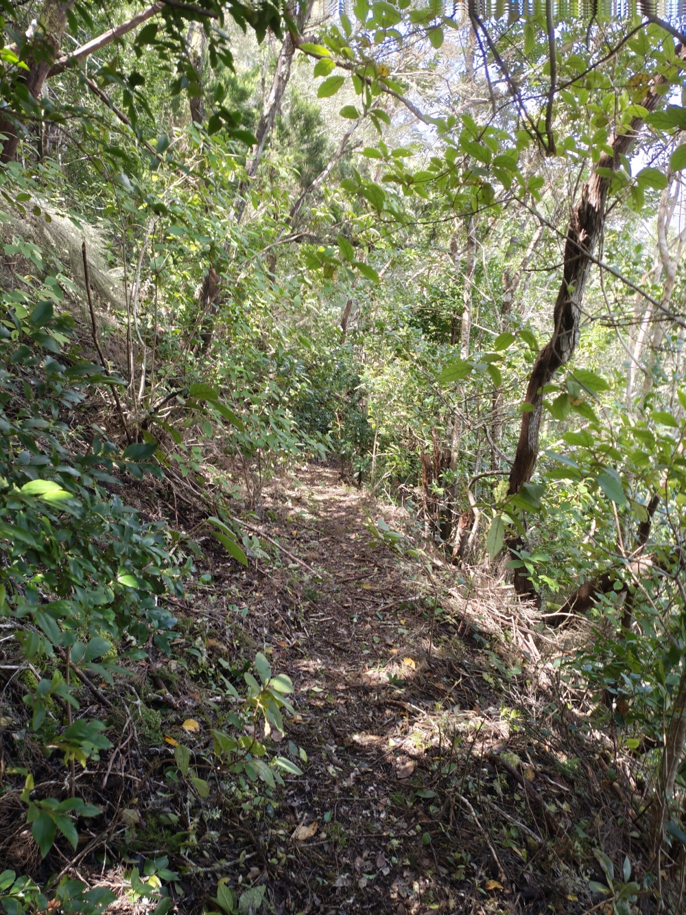 Wanderung Cuevas Negras und Monte del Agua: Dieser Abschnitt ist etwas schwerer zu finden 