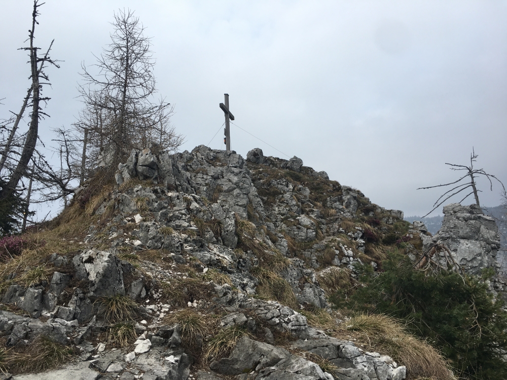 Die letzten Meter zum Gipfel (Falkenstein)