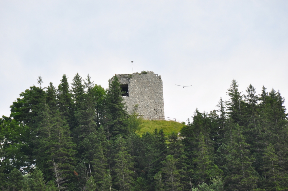 Die Ruine der Burg Falkenstein (Ruine Falkenstein)