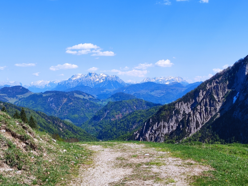 Wanderung Feldberg: Blick nach Osten