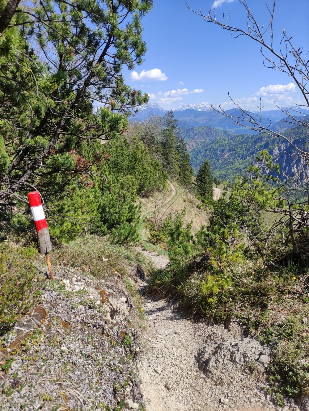 Wanderung Feldberg: Wanderweg oberhalb der Fahrstraße