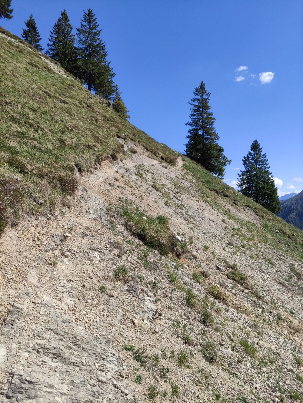 Wanderung Feldberg: Erodierter Weg