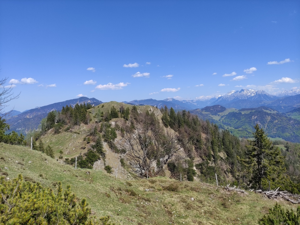 Wanderung Feldberg: Blick auf den Schneebichl