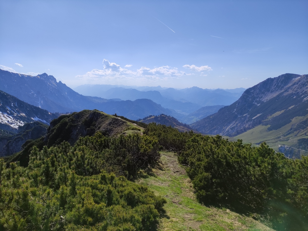 Wanderung Feldberg: Weg