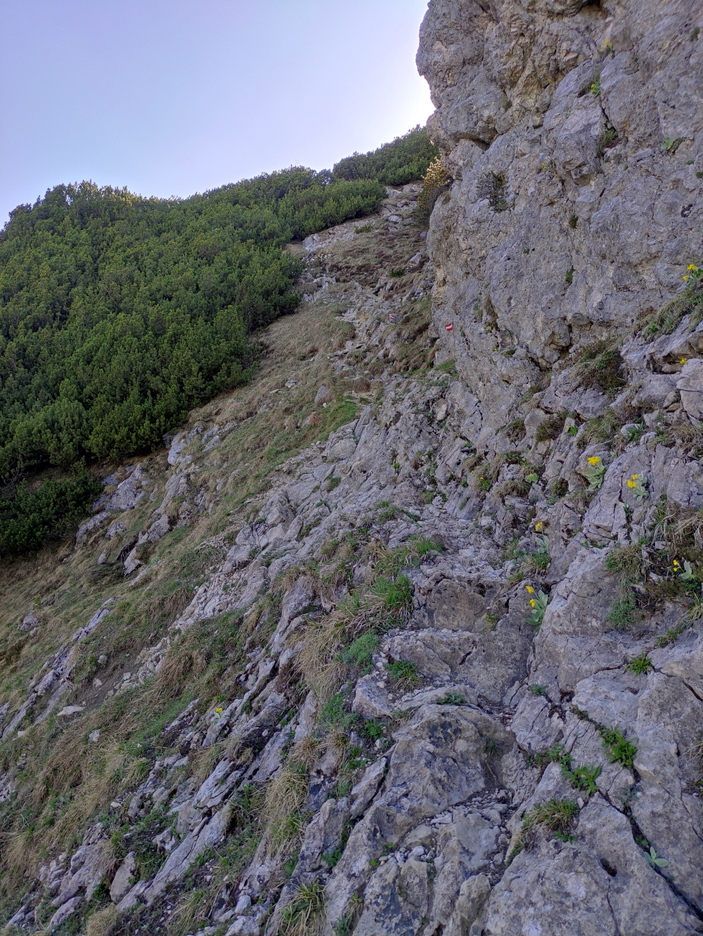 Wanderung Feldberg: Zum Gipfelpavillon