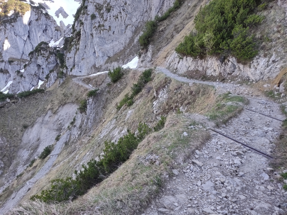 Wanderung Feldberg: Weg