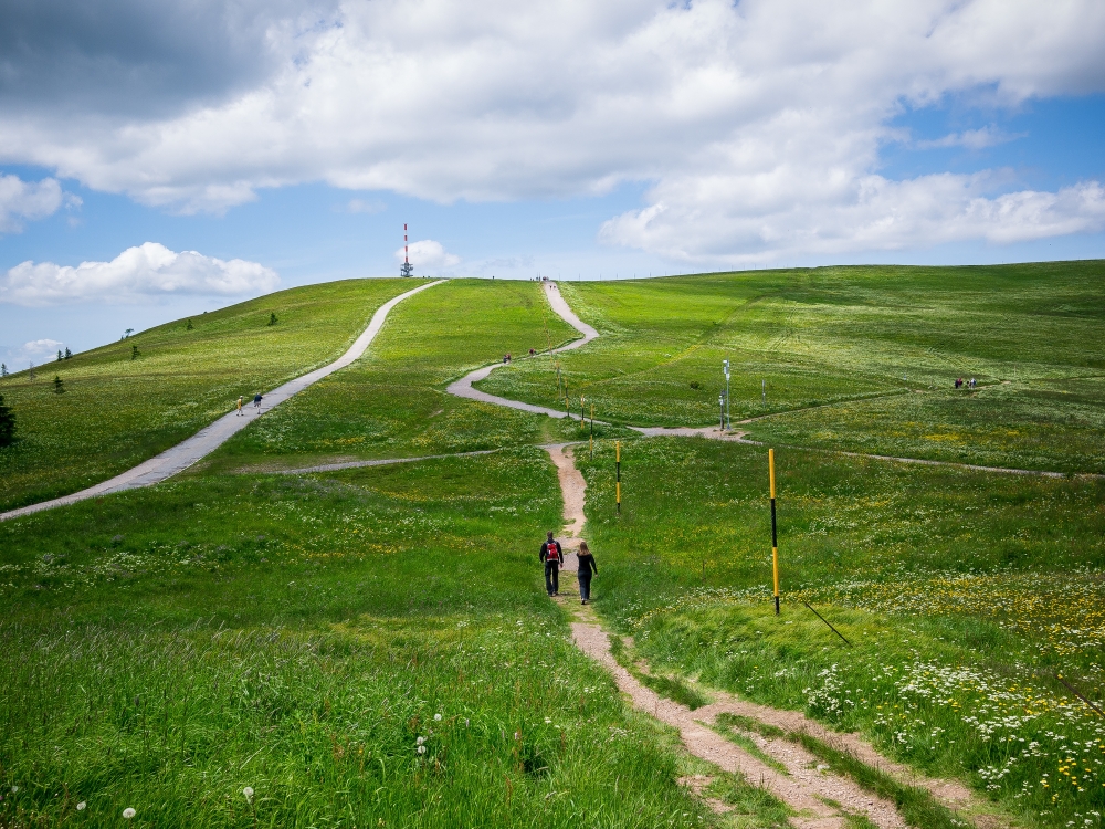 Feldberg: Feldberg