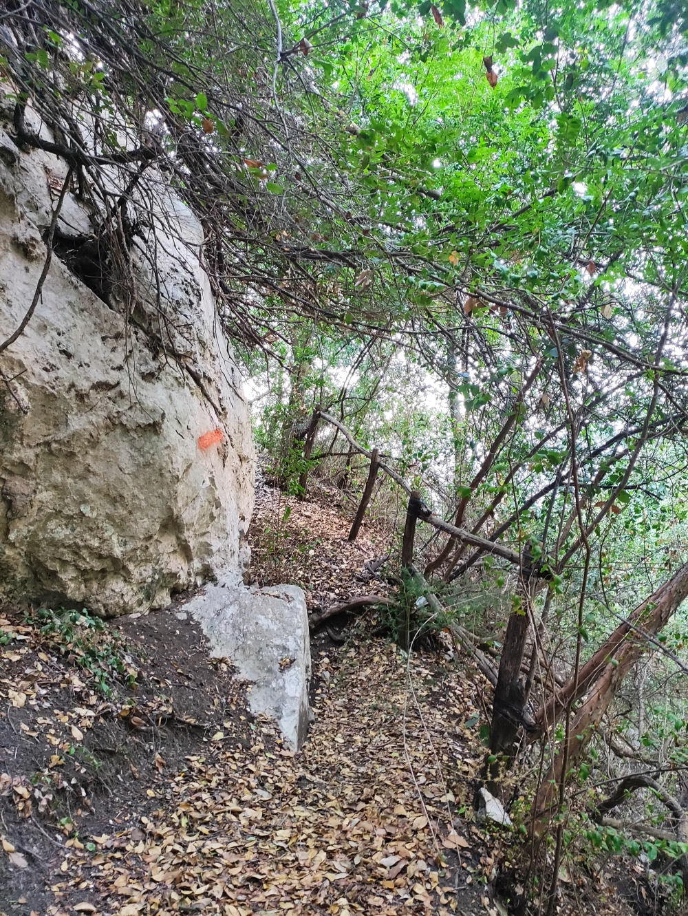 Wanderung Fiordo di Crapolla: Der östliche Weg