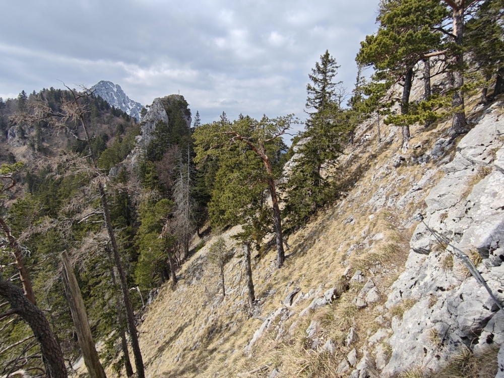 Wanderung Fuderheustein: Kurz vor dem Fuderheustein, dahinter der Fuderheuberg und der Hochstaufen