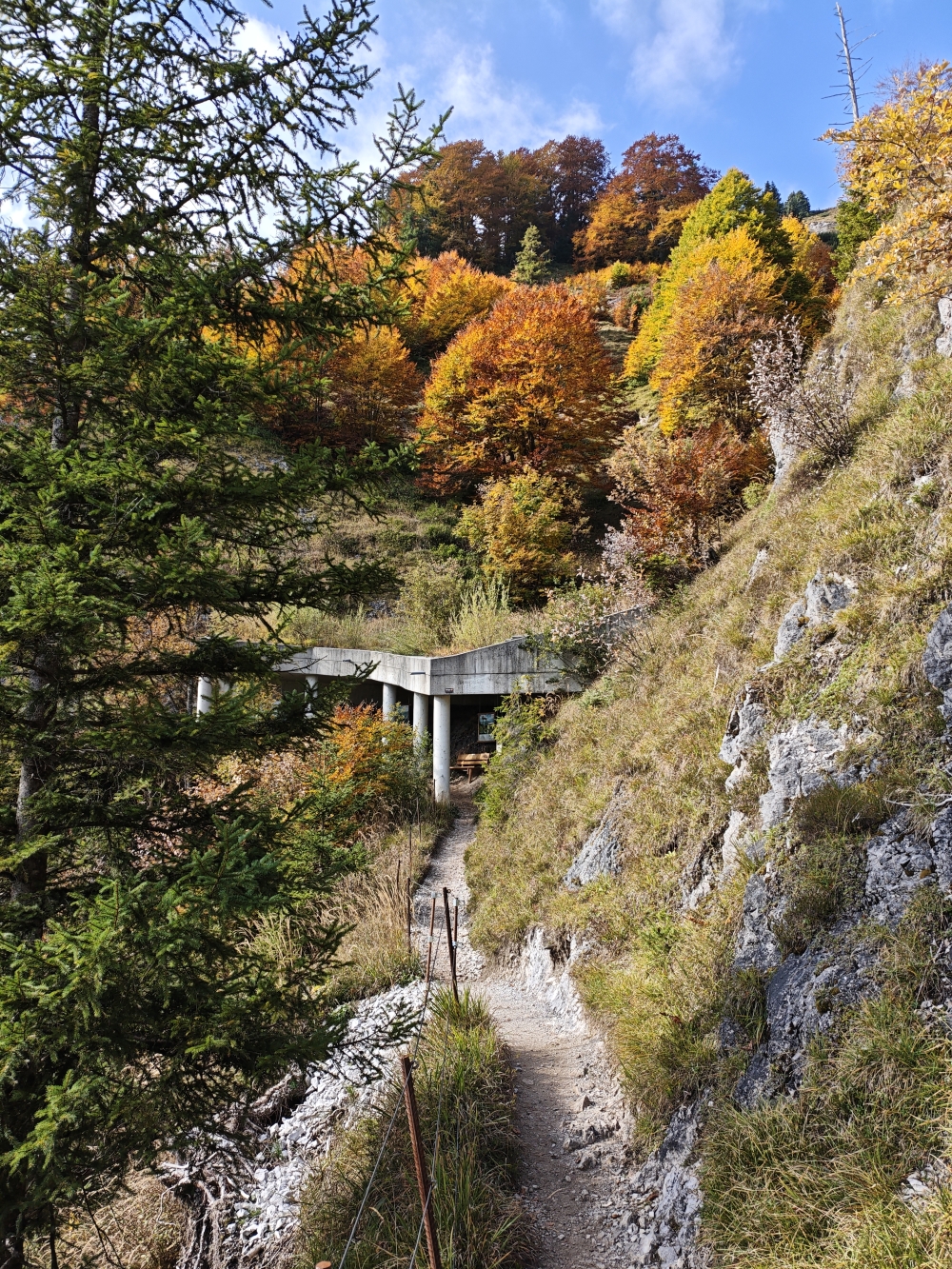 Wanderung Gaisberg: Wanderweg mit Gallerie