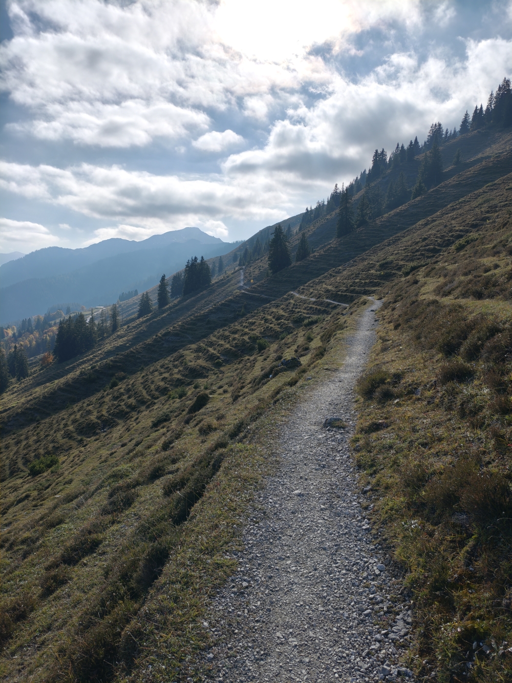 Wanderung Gaisberg: Weg