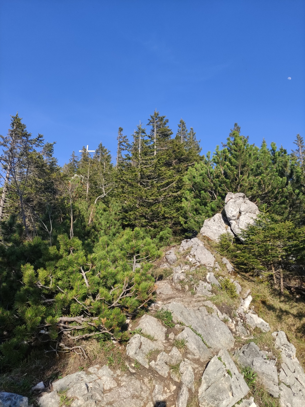 Geierstein -> Aussichtspunkt Maximiliansweg: Die letzten Meter zum Gipfel