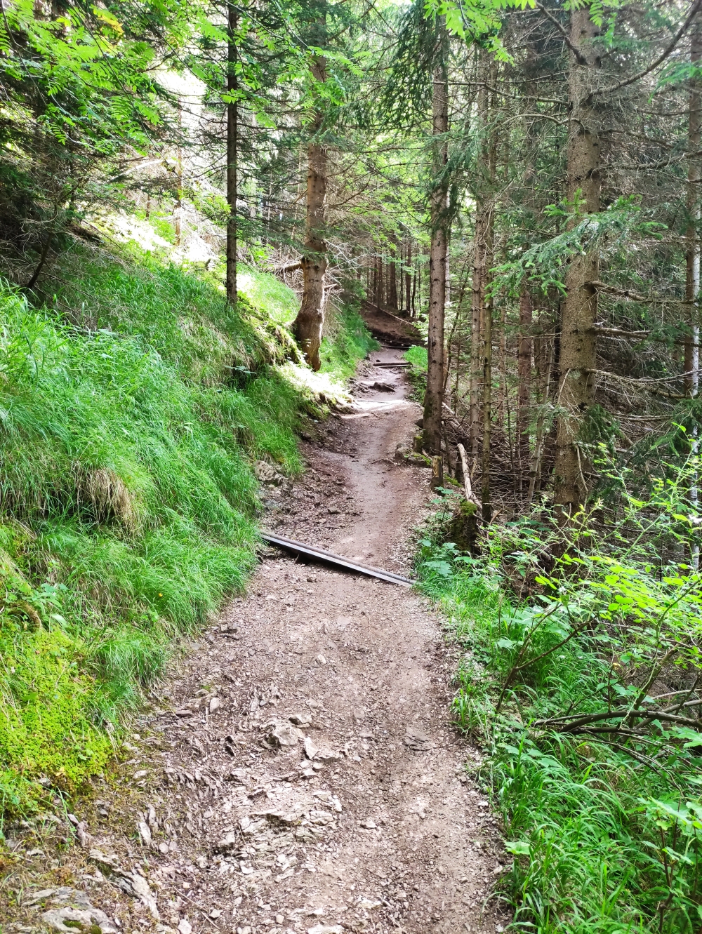 Klettersteig Gimpel: Waldweg