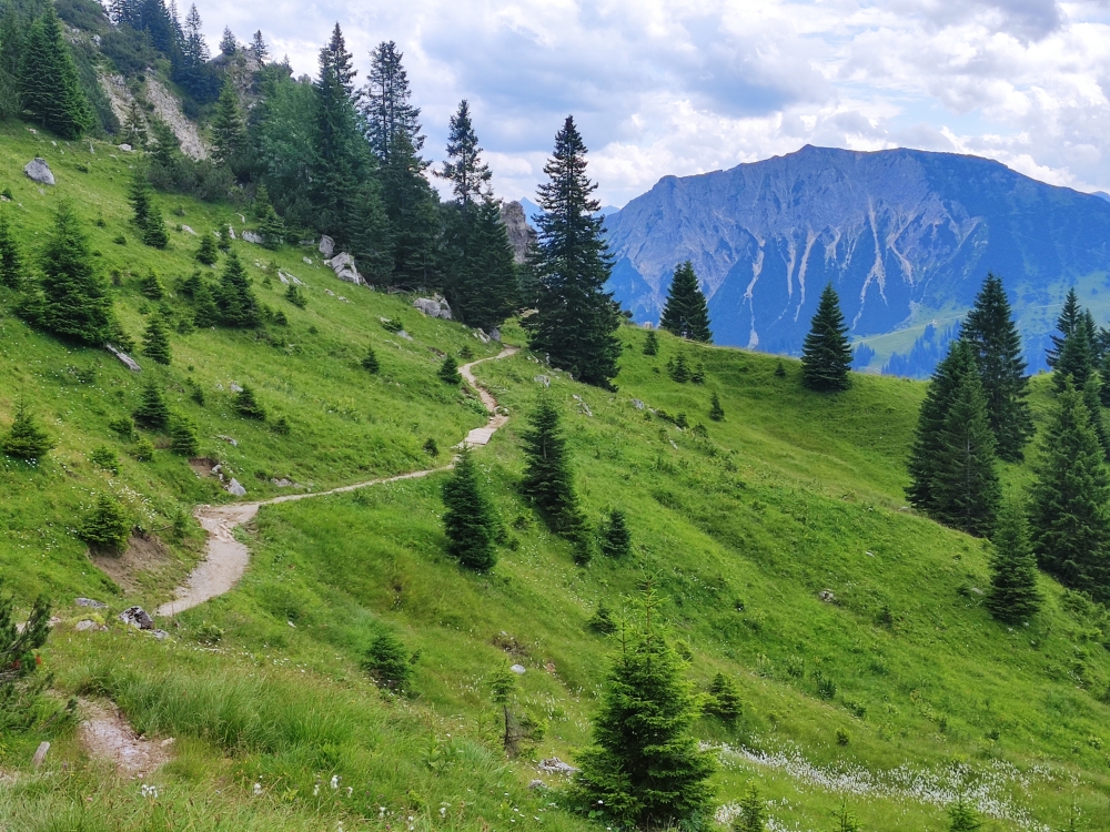 Klettersteig Gimpel: Weg