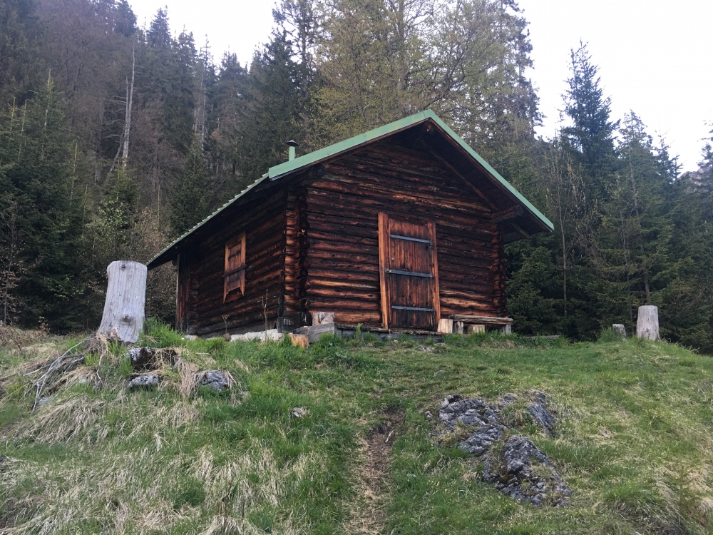 Griesberg Alm: Griesberg Alm