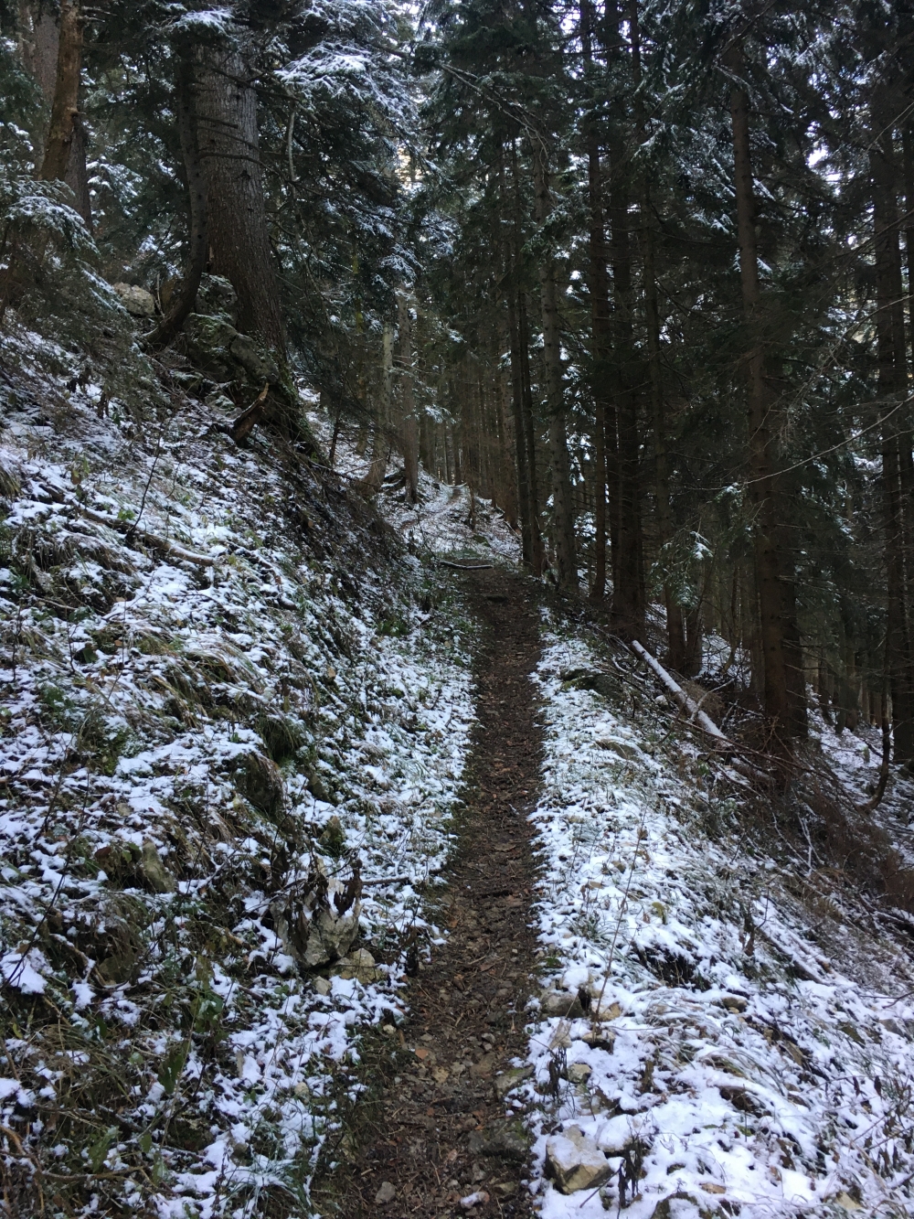 Wanderung Gröhrkopf: Höhenweg um den Reitstein