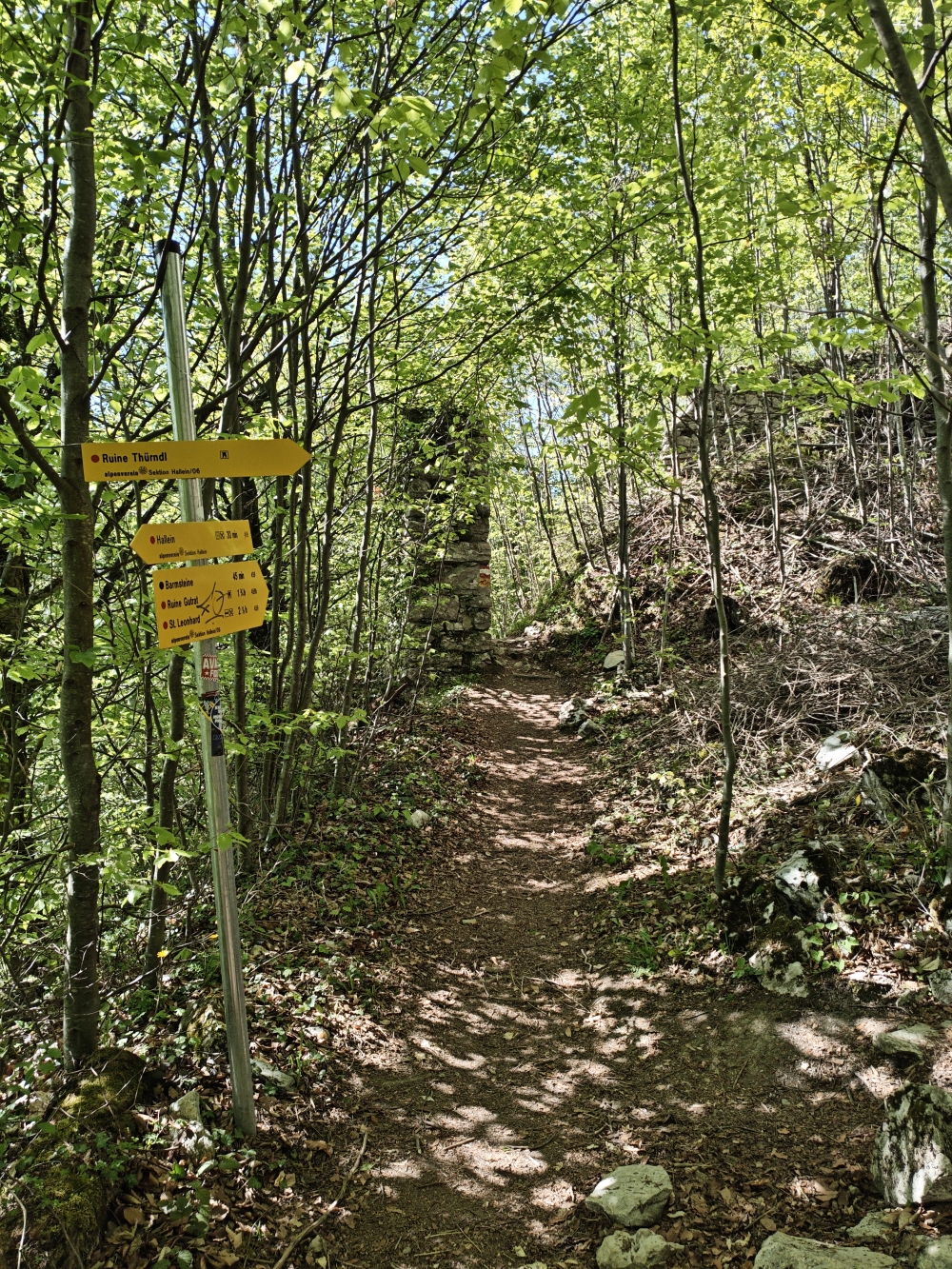 Große Klufthöhle -> Ruine Thürndl: Kurz vor der Ruine