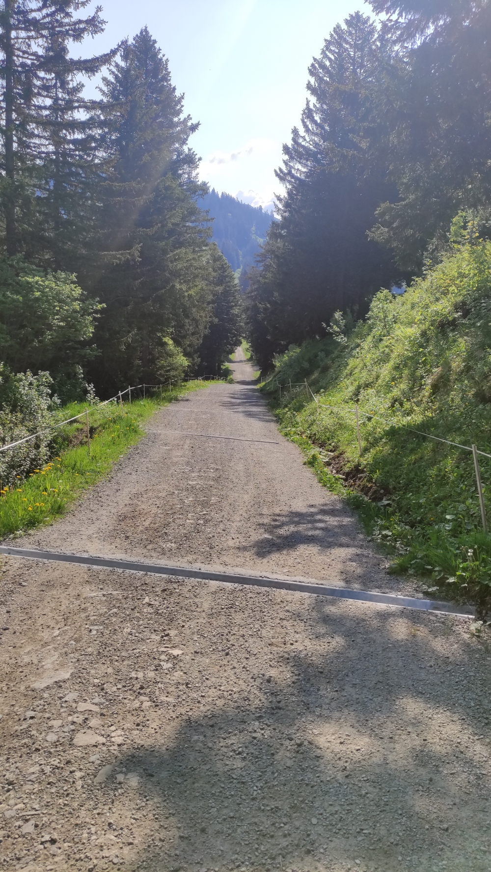 Ibergeregg -> Skihaus Holzegg: Leichter Weg