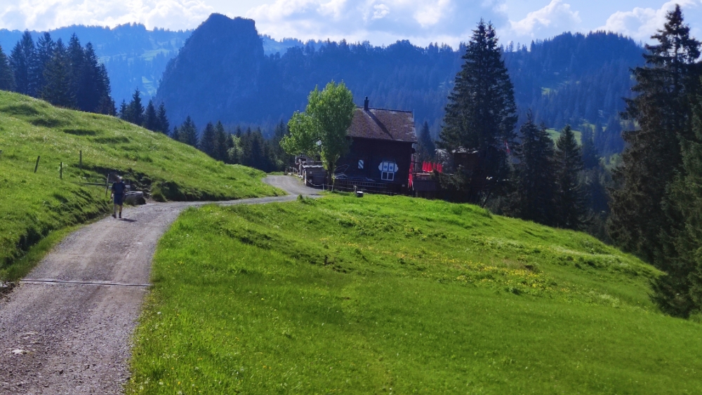 Sonnenhütte auf Ibergeregg -> Alp Zwäcken: Weg