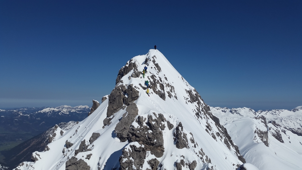 Großer Wilder Hauptgipfel: Großer Wilder