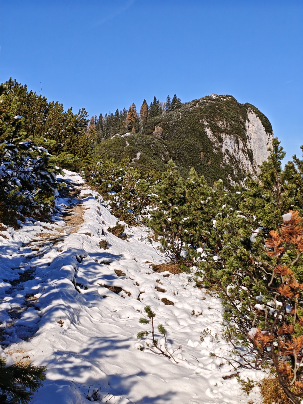 Wanderung Grosses Hundshorn: Gipfelzustieg