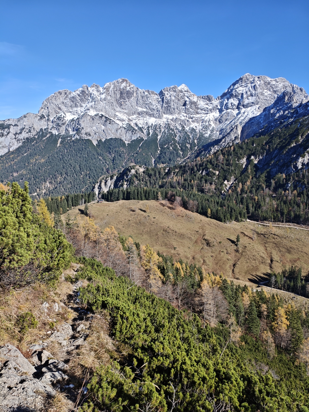 Wanderung Grosses Hundshorn: Abstieg zur Hundsalm