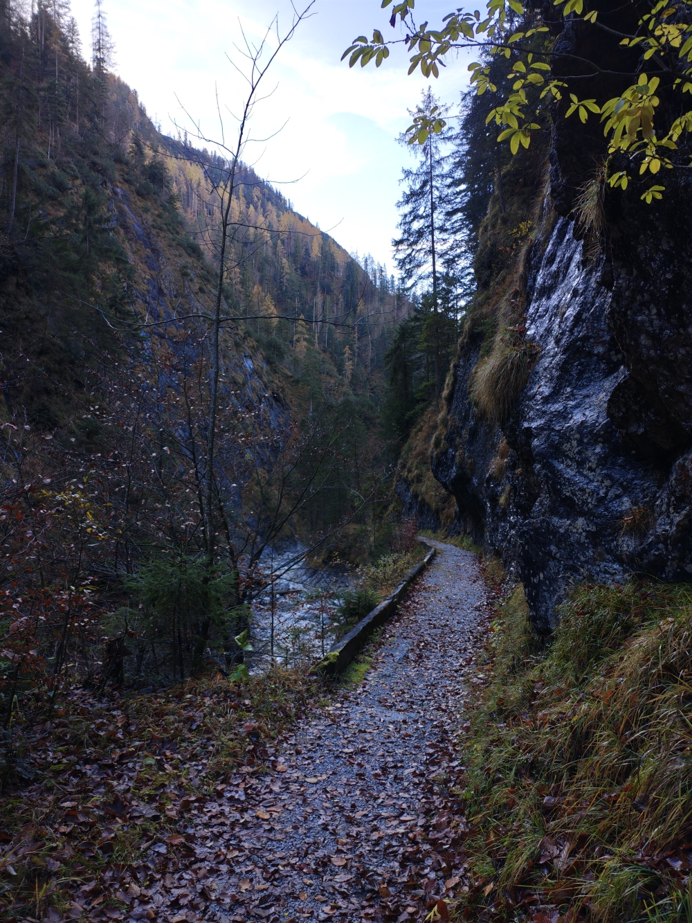 Wanderung Grosses Hundshorn: Durch die Wildenbachschlucht