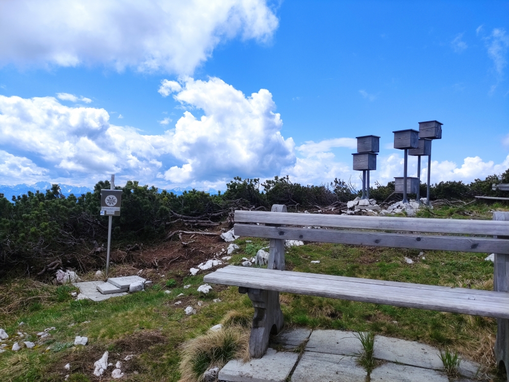 Wanderung Hochleckenhaus zur Christophorushütte: Wanderung Hochleckenhaus zur Christophorushütte: Am Grünalmkogel