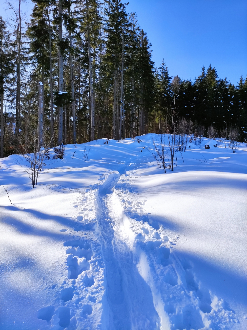 Neumayr-Hütte -> Grüntenhütte: Im Winter mit Schneeschuhen