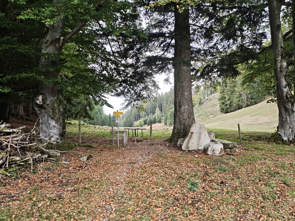 Wanderung Gscheuerwand: Zaundurchlass