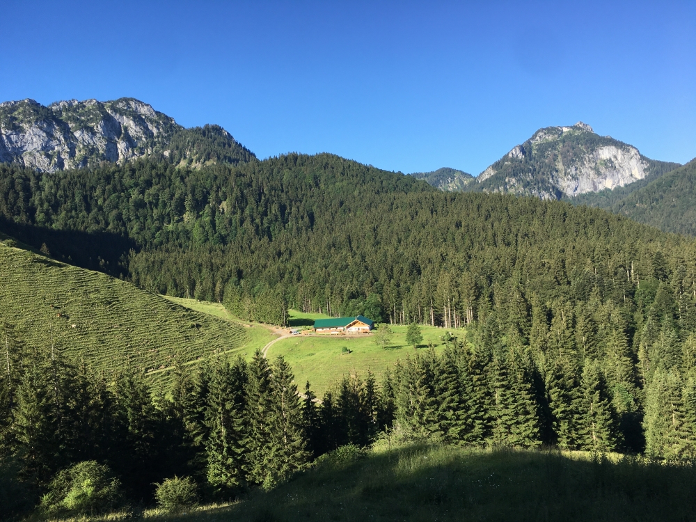 Wanderung Hochsalwand: Wanderung Hochsalwand: Blick vom Niggl-Steig (Hillsteineralm)