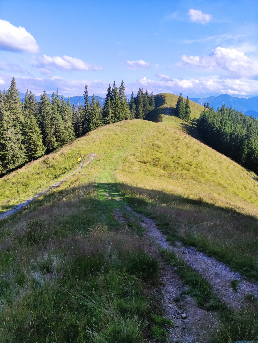 Wanderung Hinteres Hörnle: Übergang zum Stierkopf
