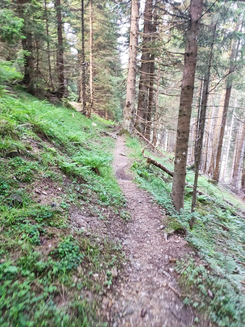 Wanderung Hinteres Hörnle: Abstecher