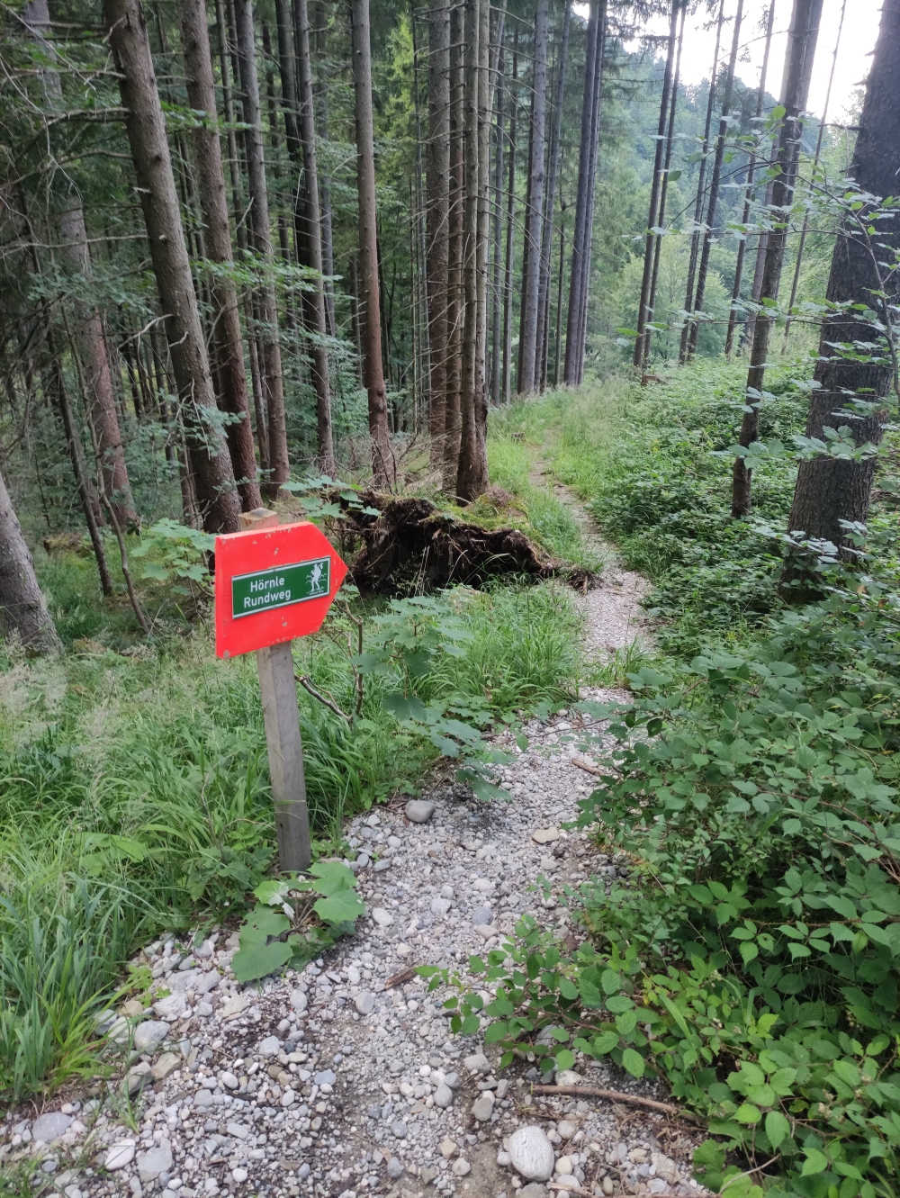 Wanderung Hinteres Hörnle: Wegweiser
