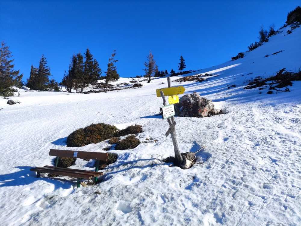 Wanderung Hirschangerkopf: Unterhalb des Gipfels