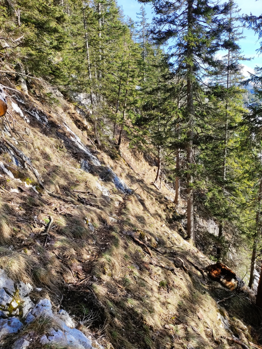 Wanderung Hirschangerkopf: Seilgesicherte Passagen am Jägersteig