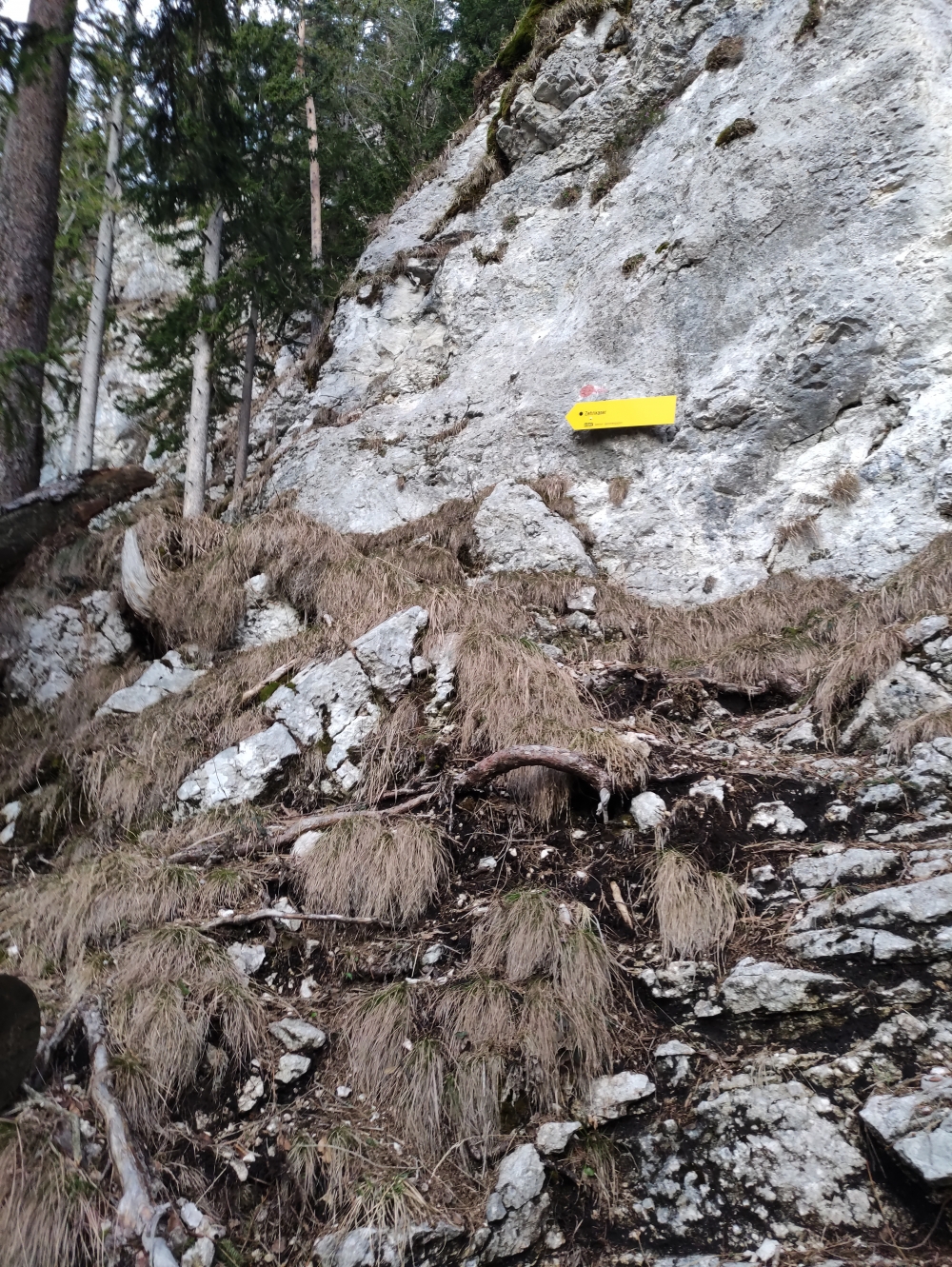 Wanderung Hirschangerkopf: Erstaunlicher Weise führt ein Steig durch die Wände