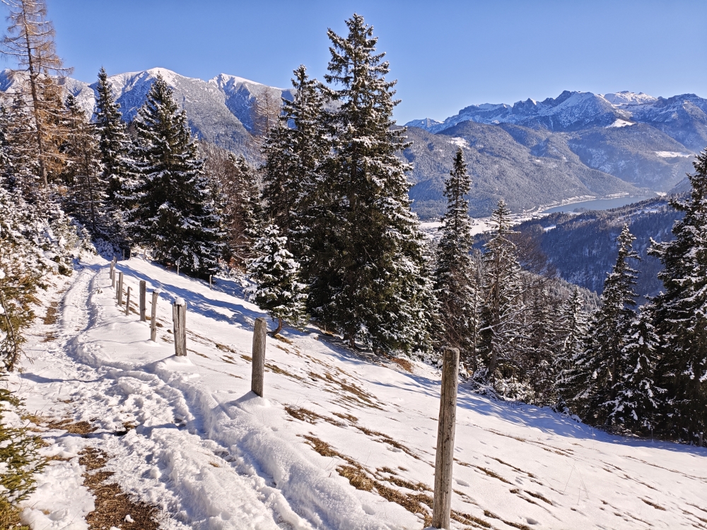 Wanderung Hochplatte: Sonniger Wanderweg mit Achensee-Blick