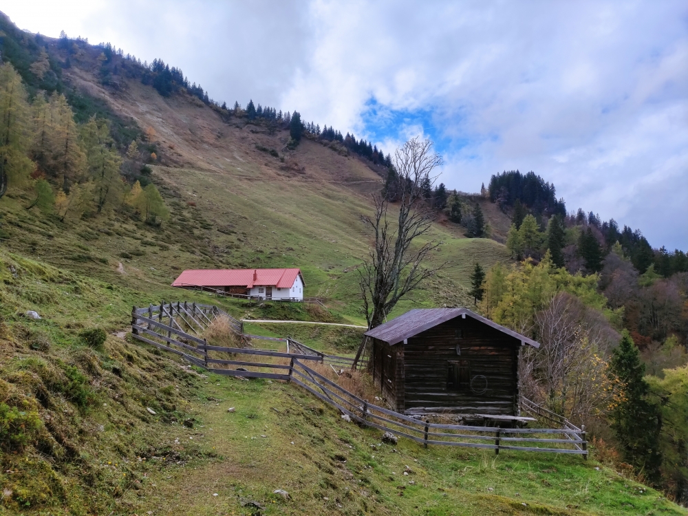 Hochplattenalm: Hochplattenalm