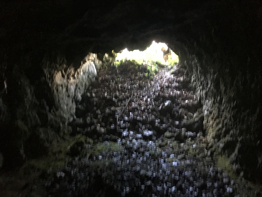 Höhle am Monte Biaena: Ein großer Raum direkt neben dem Wanderweg