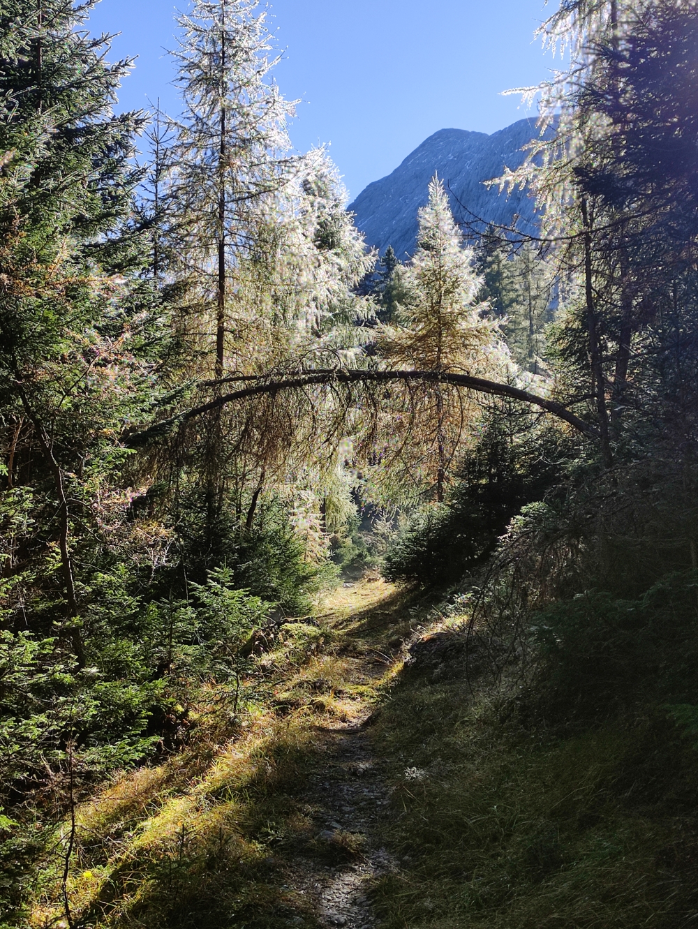 Klettersteig Hohe Munde Überschreitung: Aufstieg