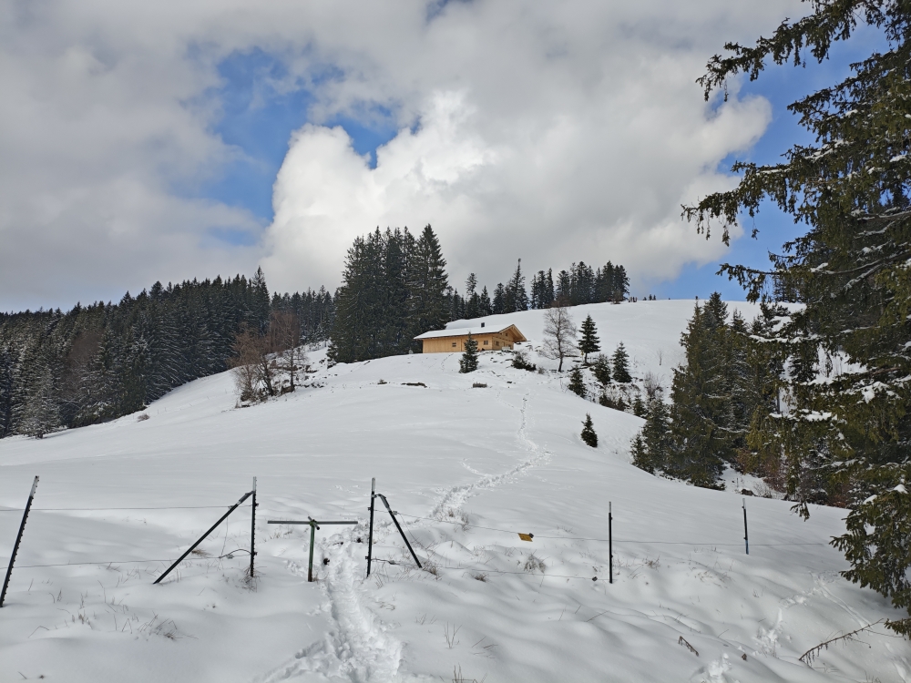 Wanderung Nesselscheibe: Wanderung Nesselscheibe: Holzeralm