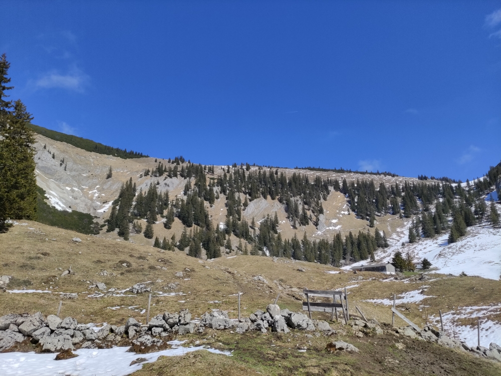 Wanderung Jägerkamp: Blick zur Obere Schönfeldslm und dem Aufstieg.