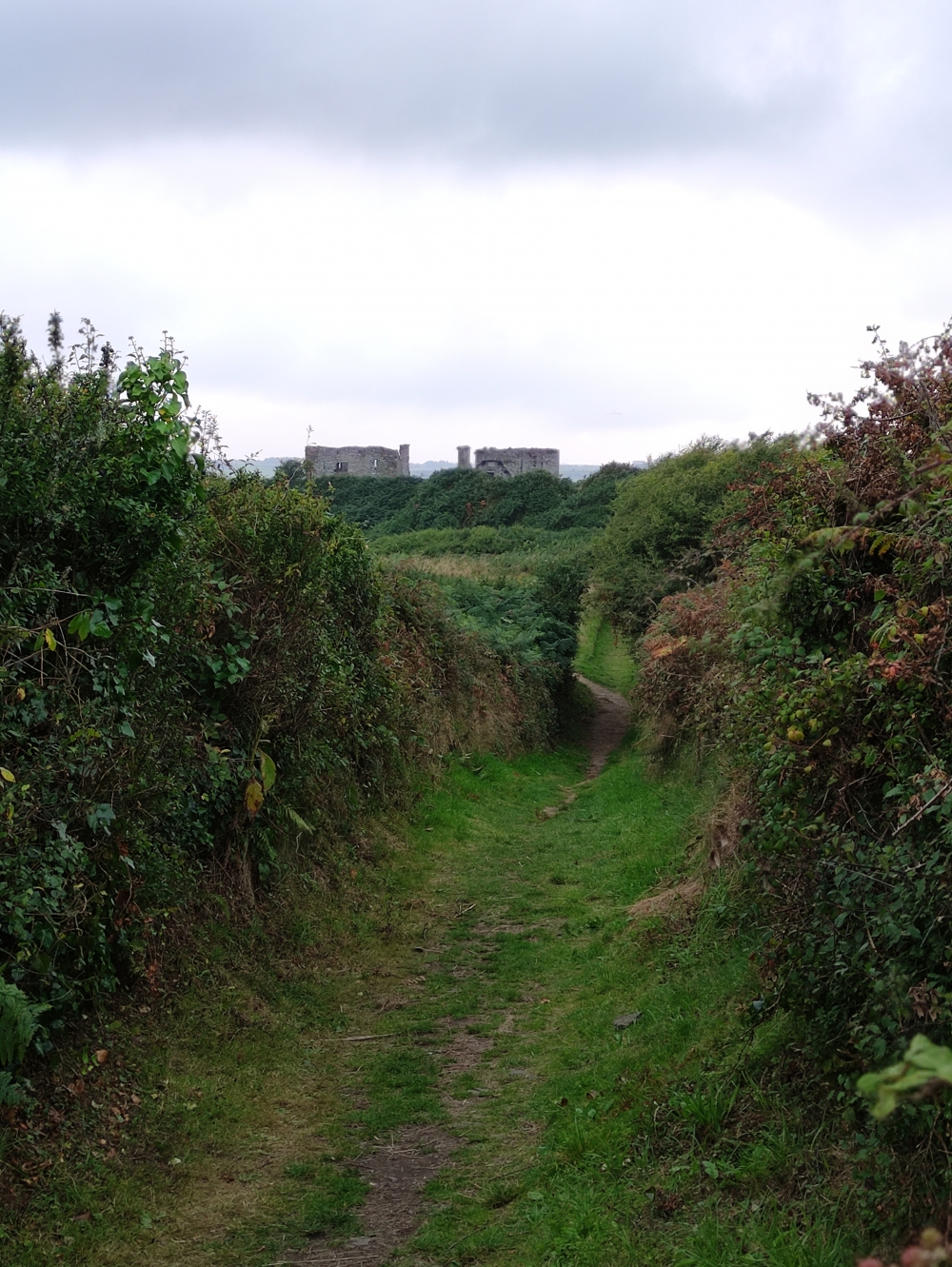 Wanderung James Fort: Weg