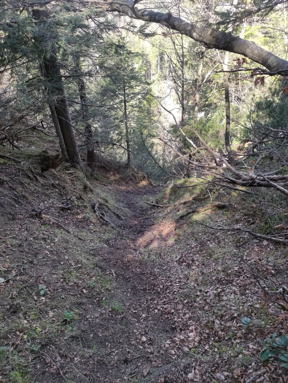 Jochkopf -> Berggaststätte Höhlensteinhaus: Erdiger Nordabstieg