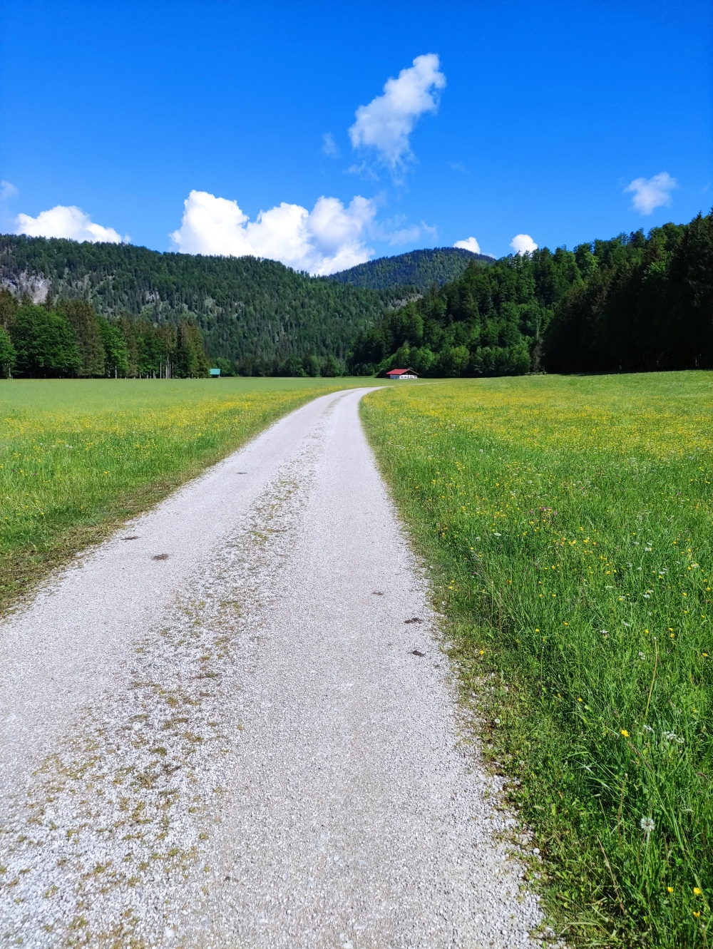 Bike & Hike Juifen: Ausgeschilderter Radweg