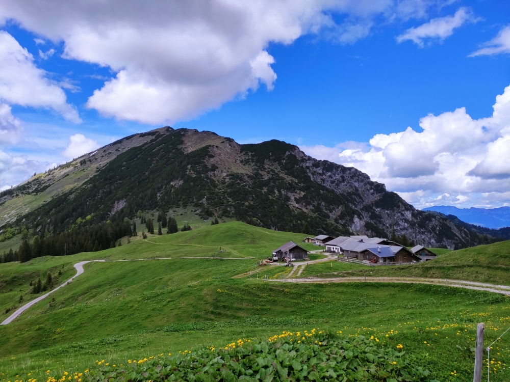 Bike & Hike Juifen: Blick über den Rotwandalm Hochleger zum Demeljoch
