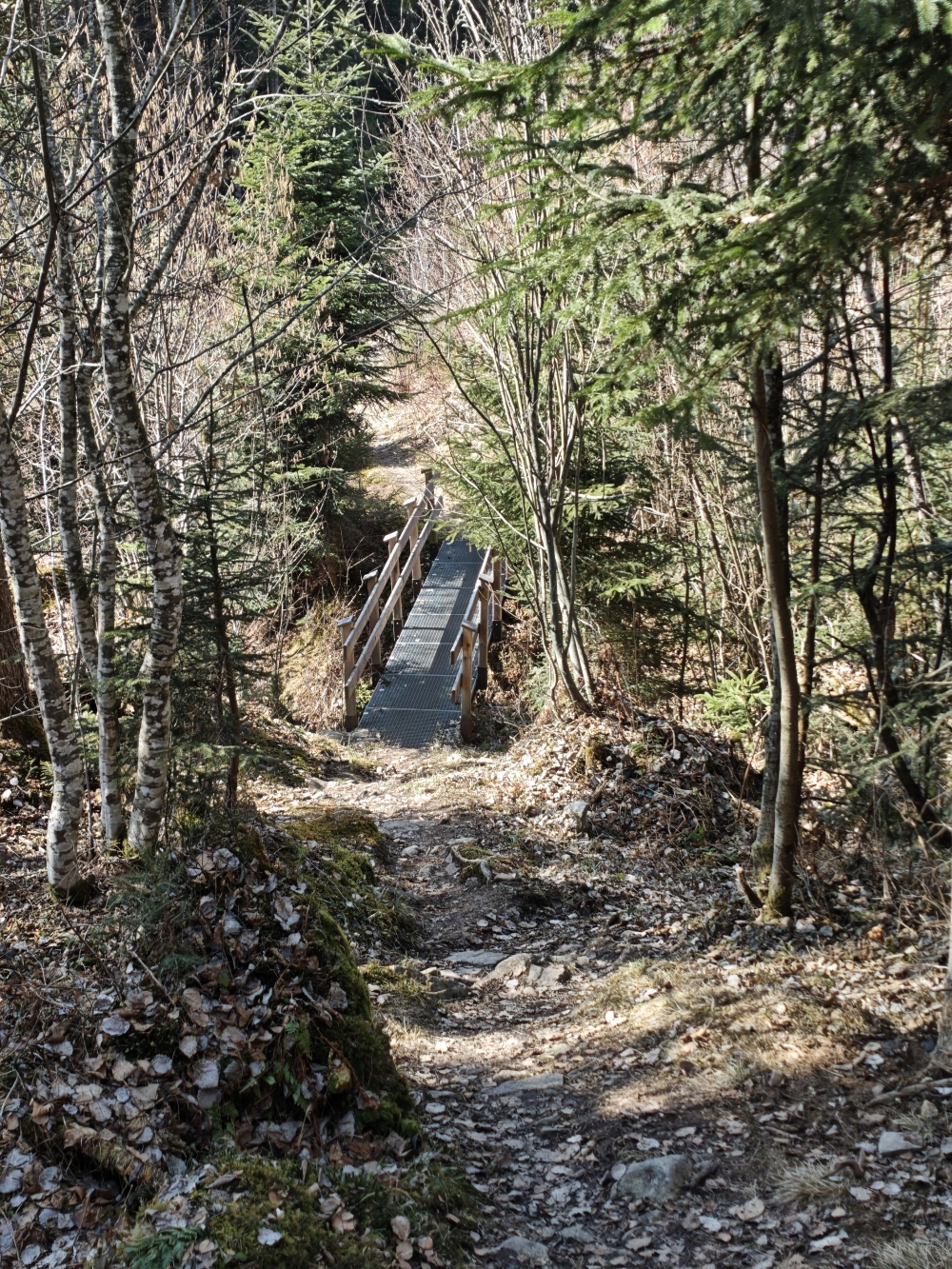 Wanderung Kalkstein: Brücke 
