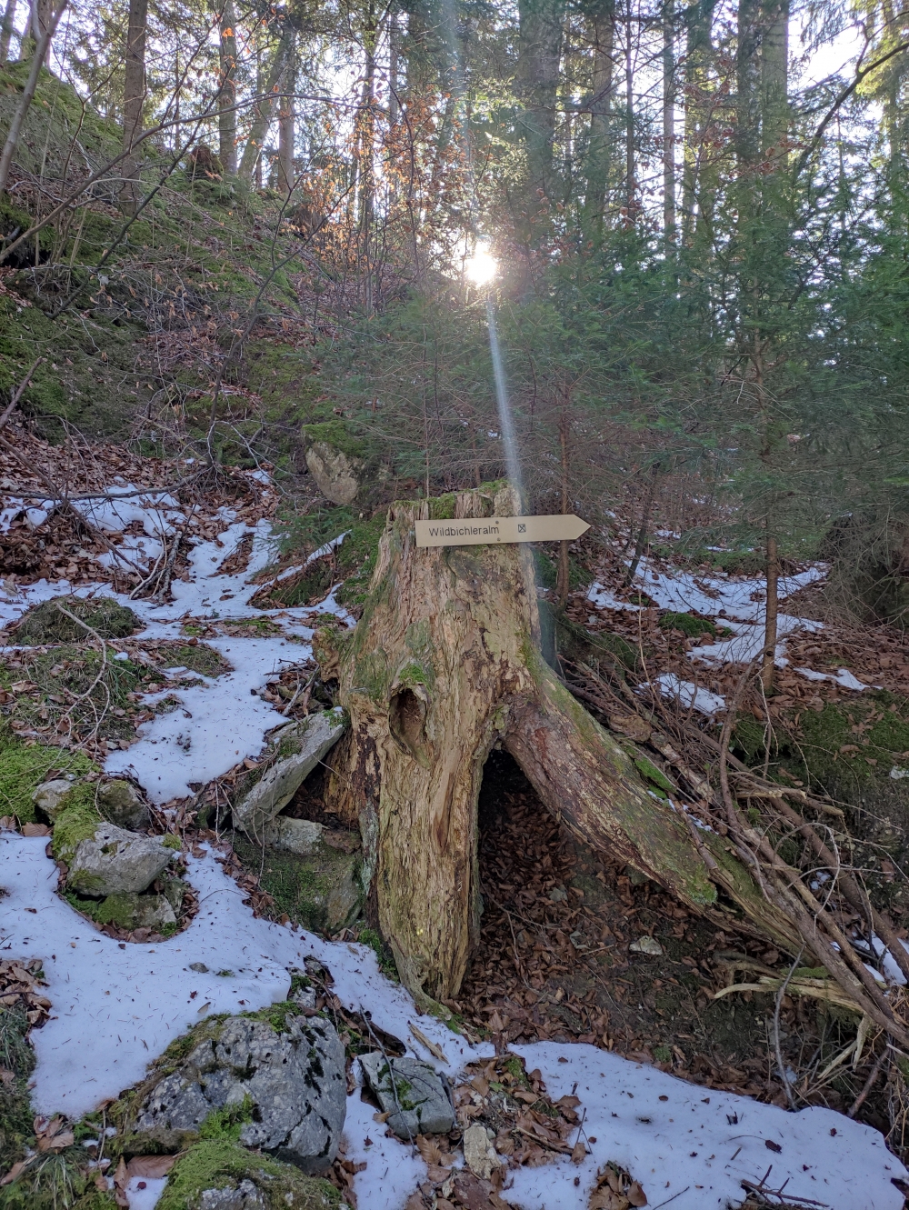 Viele Schilder weisen den Weg