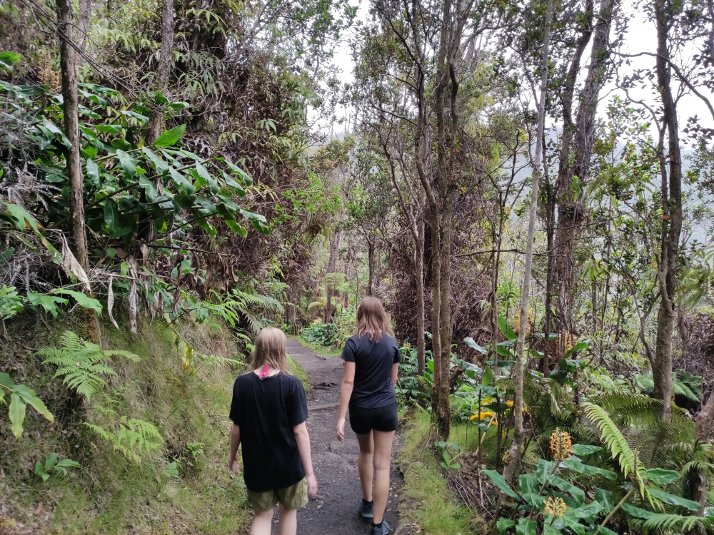 Wanderung Kilauea Krater: Abstieg in den Krater